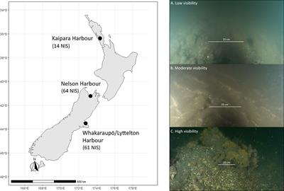 Towards remote surveillance of marine pests: A comparison between remote operated vehicles and diver surveys